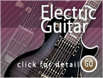 Electric Guitar