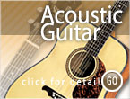 Acoustic  Guitar