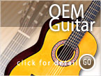 OEM  Guitar